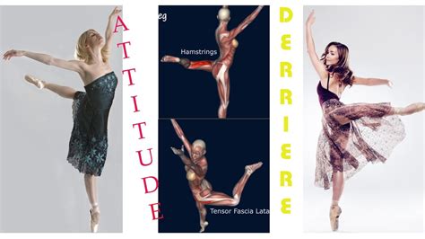 attitude dance definition what is the relationship between attitude and dance?